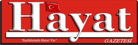 hayatgazetesi.com.tr