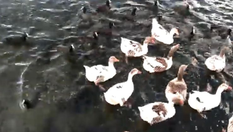 BOZKIRIN ORTASINDA “SAKLI GÖL”
