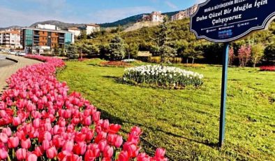Büyükşehir’den Muğla’ya 59 Futbol Sahası Büyüklüğünde Yeşil Alan
