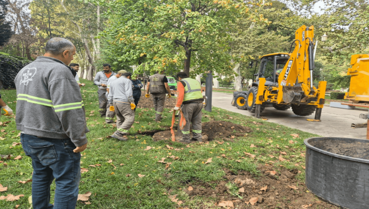 GÜLHANE’DE KURUYAN 56 AĞAÇ YERİNE YENİ AĞAÇLAR DİKİLDİ